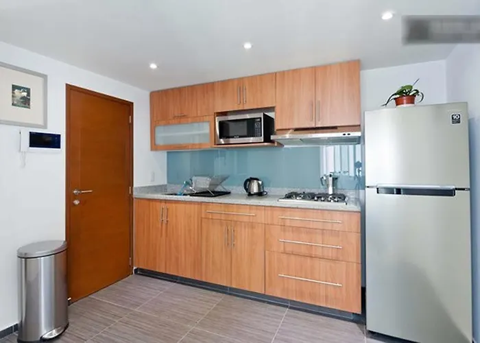 Duplex Penthouse Zona Rosa 公寓 墨西哥城