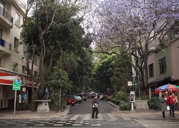 Duplex Penthouse Zona Rosa *